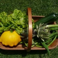 Laura's bounty