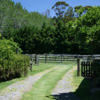 Up the garden path